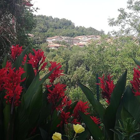 אריצו Agrifoglio B&B Con Giardino מראה חיצוני תמונה