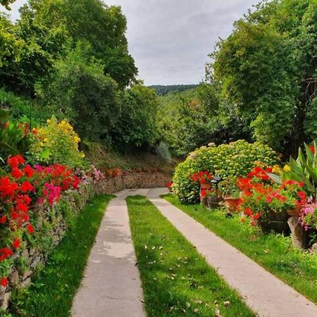 אריצו Agrifoglio B&B Con Giardino מראה חיצוני תמונה