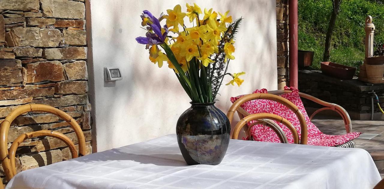 אריצו Agrifoglio B&B Con Giardino מראה חיצוני תמונה