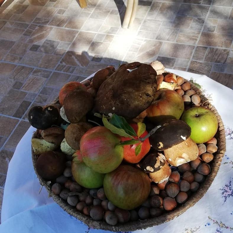 אריצו Agrifoglio B&B Con Giardino מראה חיצוני תמונה