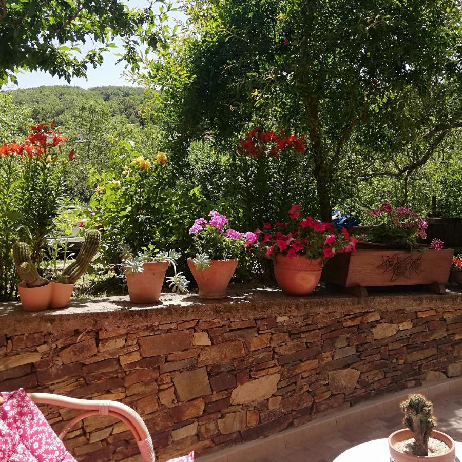 אריצו Agrifoglio B&B Con Giardino מראה חיצוני תמונה