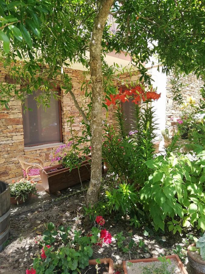 אריצו Agrifoglio B&B Con Giardino מראה חיצוני תמונה