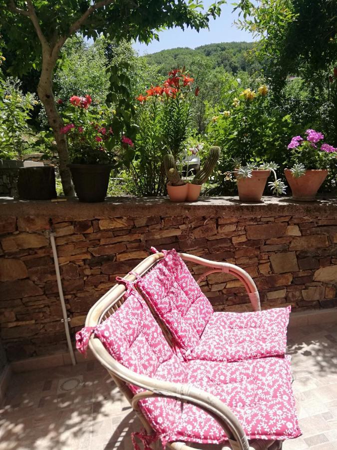אריצו Agrifoglio B&B Con Giardino מראה חיצוני תמונה
