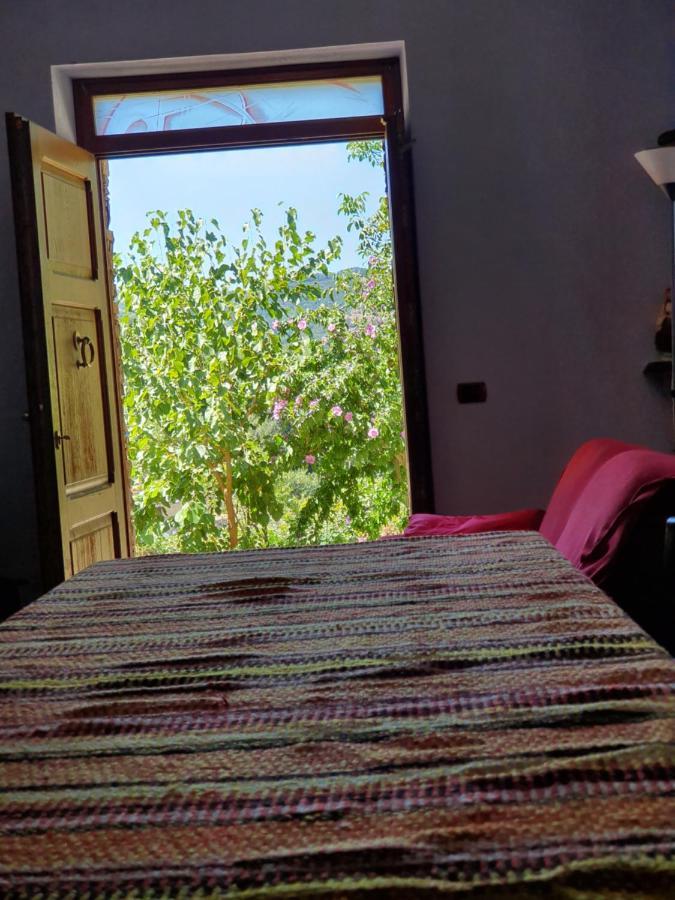 אריצו Agrifoglio B&B Con Giardino מראה חיצוני תמונה