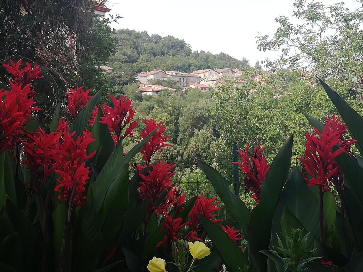 אריצו Agrifoglio B&B Con Giardino מראה חיצוני תמונה