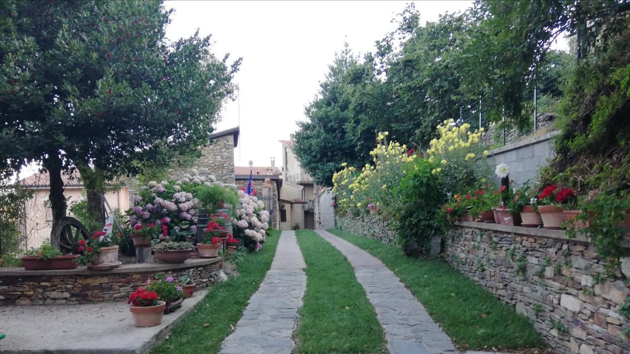 אריצו Agrifoglio B&B Con Giardino מראה חיצוני תמונה