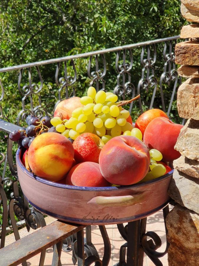 אריצו Agrifoglio B&B Con Giardino מראה חיצוני תמונה