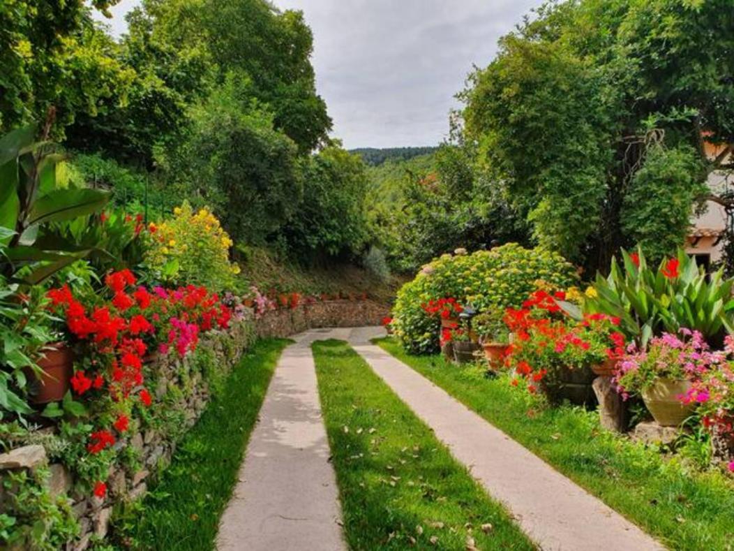 אריצו Agrifoglio B&B Con Giardino מראה חיצוני תמונה